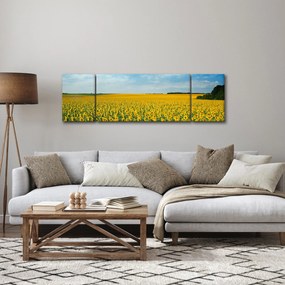 Obraz - ciąg słoneczników (170x50 cm)
