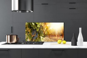 Panel Szklany Winna Winorośl w Detalu