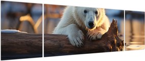 Obraz - Niedźwiedź polarny (170x50 cm)