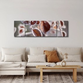 Obraz - Szczegół liści (170x50 cm)