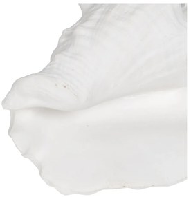 Figurka z żywicy polimerowej (wysokość 13 cm) Seashell – Ixia