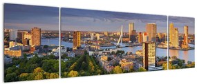Obraz - Panorama Rotterdamu, Holandia (170x50 cm)