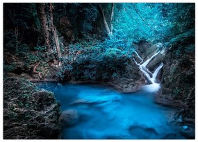 Obraz - Magiczna noc w tropikalnym lesie (70x50 cm)