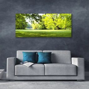 Obraz canvas Parkowa Aleja w Słońcu