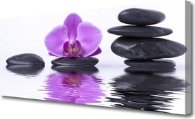 Obraz na płótnie Kwiatowe Odbicie w Lustrze Wody