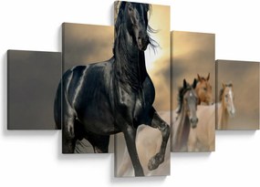 Obraz - Konie (125x70 cm)