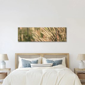 Obraz - Ziarno (170x50 cm)