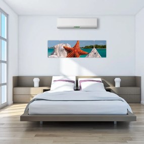 Obraz rozgwiazdy (170x50 cm)