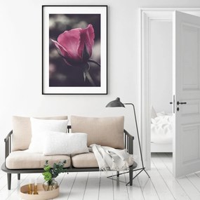 Plakat - Kwiat róży (A4)