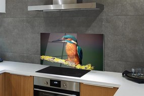 Panel szklany do Kuchni Mały Egzotyczny Ptak