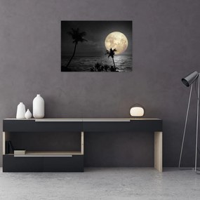 Obraz na szkle - Plaża pod pełnią księżyca w odcieniach szarości (70x50 cm)