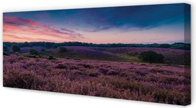 Obraz na płótnie Pole Wrzosów