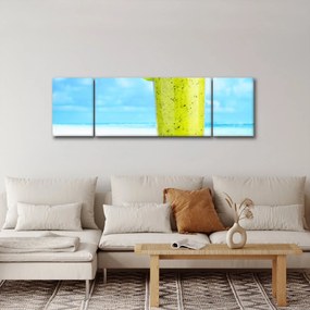 Zdjęcie - smoothie z kiwi (170x50 cm)