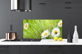 Panel Szklany do Kuchni Białe Stokrotki W Trawie