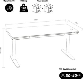 Biurko elektryczne sit-stand z szufladą i ładowarką bezprzewodową Qi czarne, 1600 mm: ELLIS