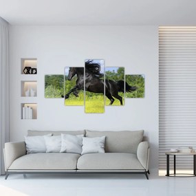 Obraz - Koń z płynącą grzywą (125x70 cm)