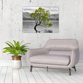 Obraz na szkle drzewa na środku jeziora (70x50 cm)