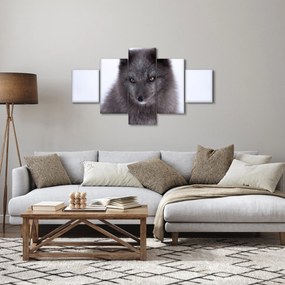 Obraz lisa śnieżnego (125x70 cm)