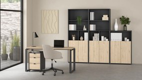 Dwudrzwiowa komoda biurowa Sign jackson hickory/szary mat