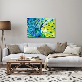 Obraz pawia (70x50 cm)