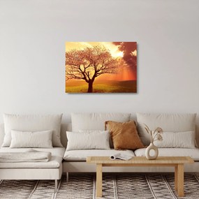 Obraz na szkle promieni Boga (70x50 cm)