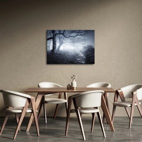 Obraz- Droga we mgle (70x50 cm)