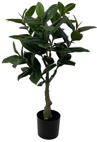 Sztuczna roślina drzewko kauczukowe, 69 cm