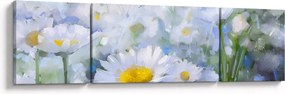 Obraz - W stokrotkach (170x50 cm)