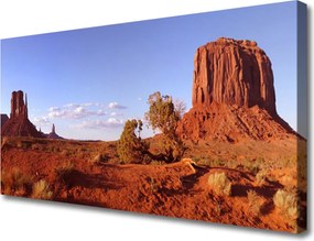 Obraz na płótnie Piaszczyste Wydmy Pustyni