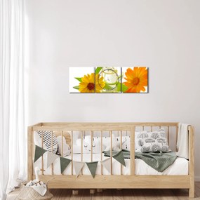 Obraz kwiatowego oleju (z zegarem) (90x30 cm)