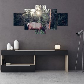 Obraz - Łoś na polanie (125x70 cm)