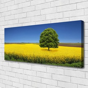 Obraz Canvas Łąka Drzewo Natura Pole