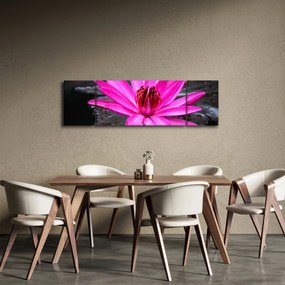 Obraz - różowy kwiat (170x50 cm)