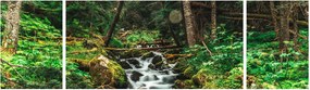 Obraz strumienia w lesie (170x50 cm)