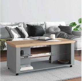 Stolik kawowy 114,5x49x50,5 cm Szary