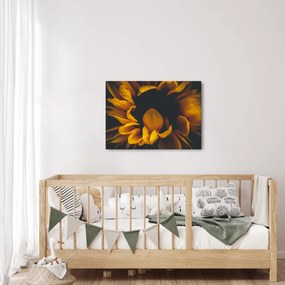 Obraz - Słoneczniki na czarnym tle (70x50 cm)