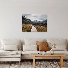 Obraz na szkle - Chodnik w dolinie góry Mt. Cook (70x50 cm)