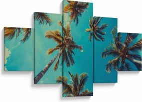Obraz - Wysokie palmy (125x70 cm)
