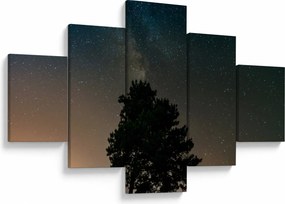 Obraz nocnego nieba z drzewami (125x70 cm)