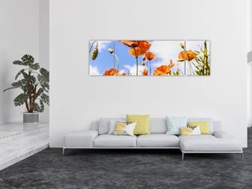 Obraz maków (170x50 cm)