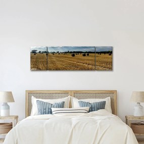 Obraz zebranego pola zboża (170x50 cm)