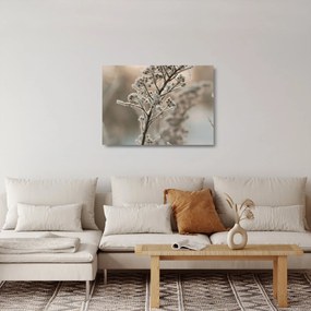 Obraz na szkle - Roślina w mrozie (70x50 cm)