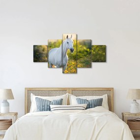 Obraz białego konia na łące (125x70 cm)
