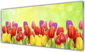 Panel Szklany Klasyczne Holenderskie Tulipany