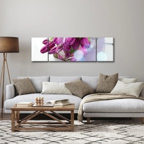 Obraz - bukiet tulipanów (170x50 cm)