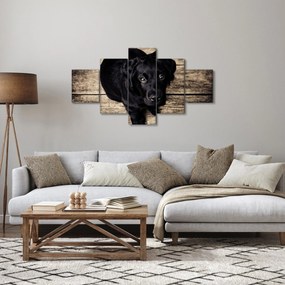 Obraz czarnego szczeniaka (125x70 cm)