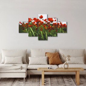 Obraz maków na wietrze (125x70 cm)