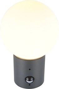 Lampa zewnętrzna ścienna z czujnikiem ruchu ø 18 cm Mures – Trio