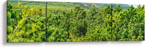 Obraz - Babia Góra, Polska (170x50 cm)