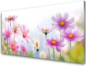 Panel Szklany Wiosenna Łąka na Płótnie